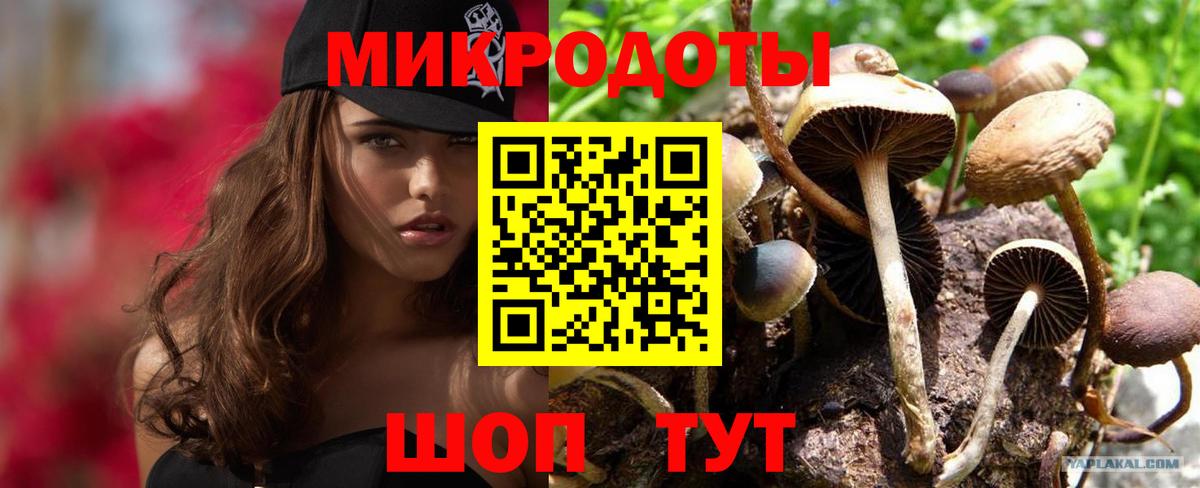 Псилоцибиновые грибы GOLDEN TEACHER  Вход с VPN  Нижнеудинск 