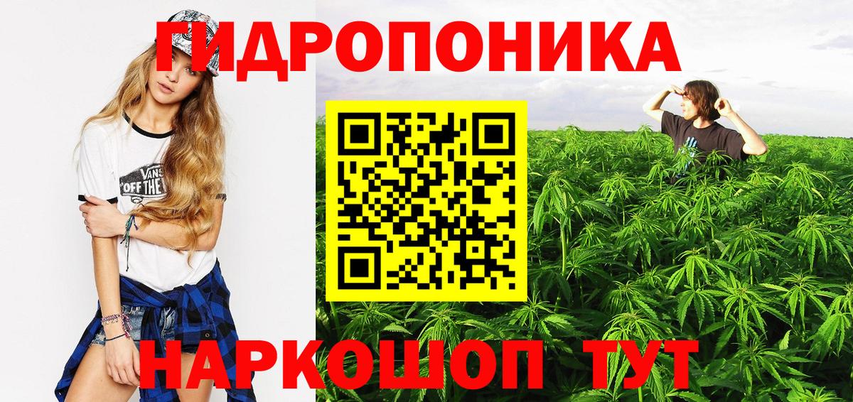 Нижнеудинск  Канабис ГИДРОПОН  Шишки марихуана конопля  Вход с VPN 